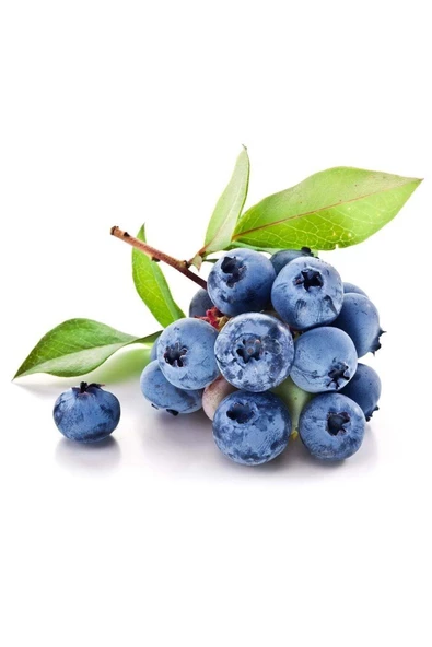 Vipfoni Yaban Mersini Tohumu Blueberry Tohumu