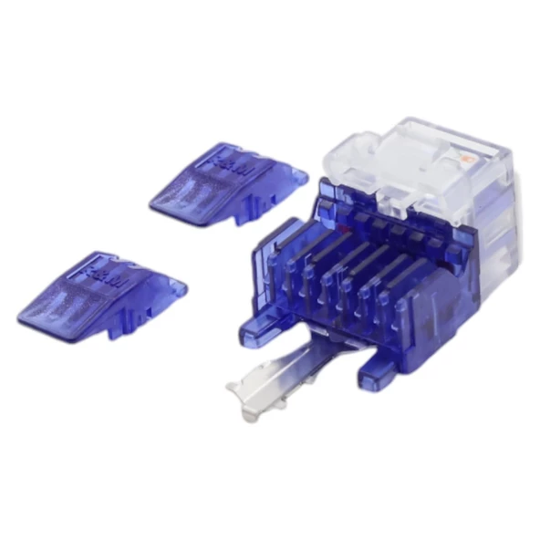 KEYSTONE JACK UTP CAT6 90 D BLUE-RED - 2