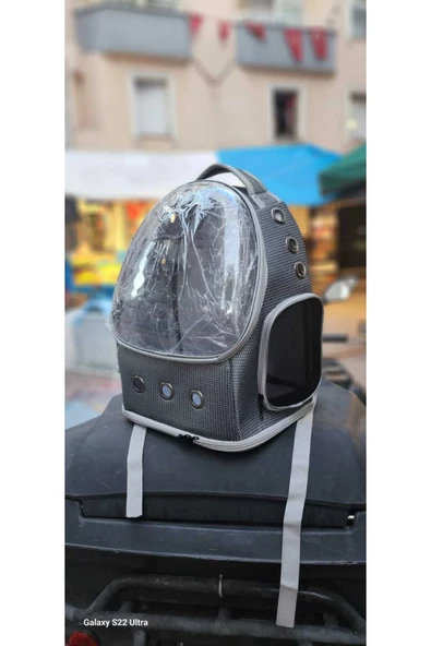 petra VOLMİN PETSHOP PETRA BİGCAT KEDİ KÖPEK SIRT TAŞIMA 43X31X45