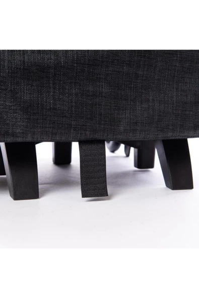 LAVİSTA Kedi Köpek Valizi Çekçekli ürün görseli