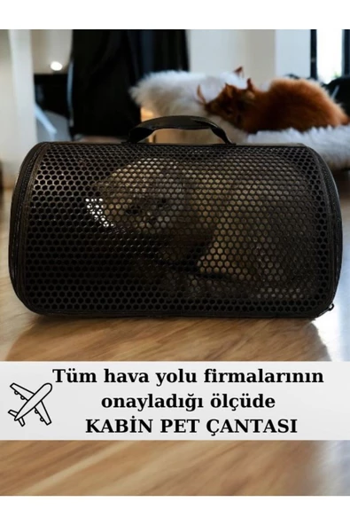 PETCIGO Kedi Ve Köpek Taşıma Çantası Nefes 10 Kg Taşımalı 40x30x23 Kabin Boy - 3