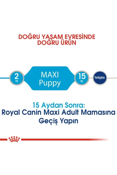 Royal Canin Maxi Puppy Büyük Irk Yavru Köpek Maması 15 Kg - 2