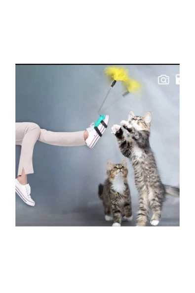 FABYAN Kedi Köpek Ayak Oltası Oyuncak - 2
