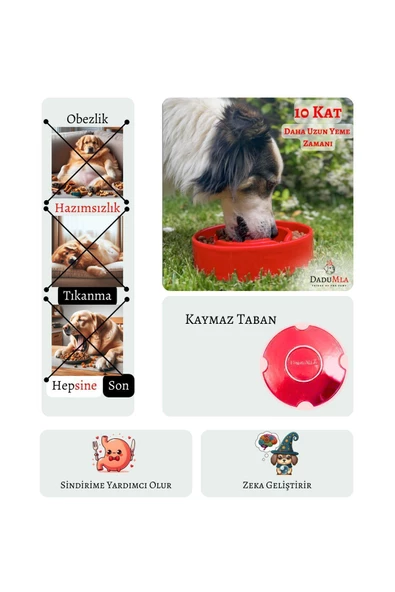 DaduMla Yavaş Yeme Mama Kabı (Seramik) - 3