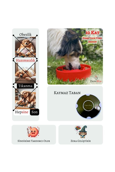 DaduMla Yavaş Yeme Mama Kabı (Seramik) - 3