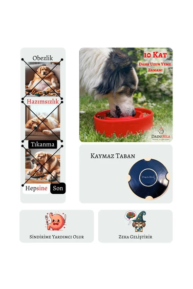 DaduMla Yavaş Yeme Mama Kabı (Seramik) - 3