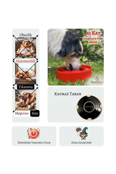 DaduMla Yavaş Yeme Mama Kabı (Seramik) - 3