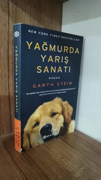 YAĞMURDA YARIŞ SANATI   GARTH STEIN