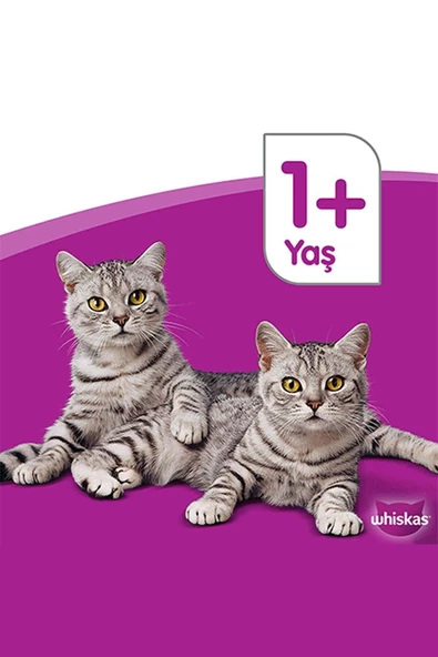 Whiskas Tavuklu Sebzeli Kuru Kedi Maması 300 gr - 4