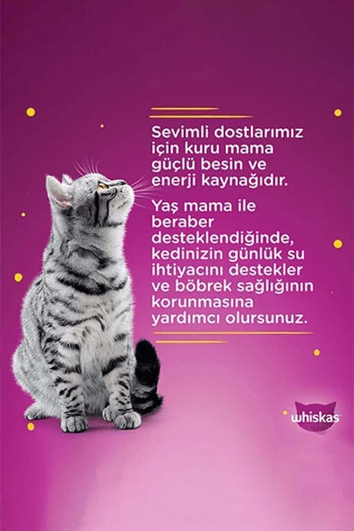 Whiskas Yavru Güveç Klasik Poşet Mama 4'lü 340 gr - 3