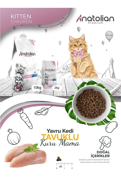 Anatolian premium Kitten Chicken Tavuklu Yavru Kedi Maması 2 Kg - 4