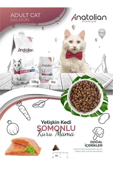 Anatolian premium Adult Salmon Somonlu Yetişkin Kedi Maması 2 Kg - 4