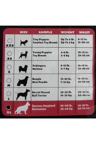Hushpet Dişi Köpek Bezi Xlarge 12 Li - 2