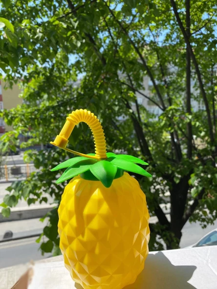 Ananas Pipetli Suluk - 2