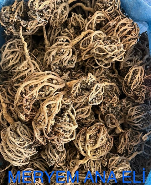 Meryam Ana Eli Otu 500 gr Fatma Ana Eli Otu Kolay Doğum Için