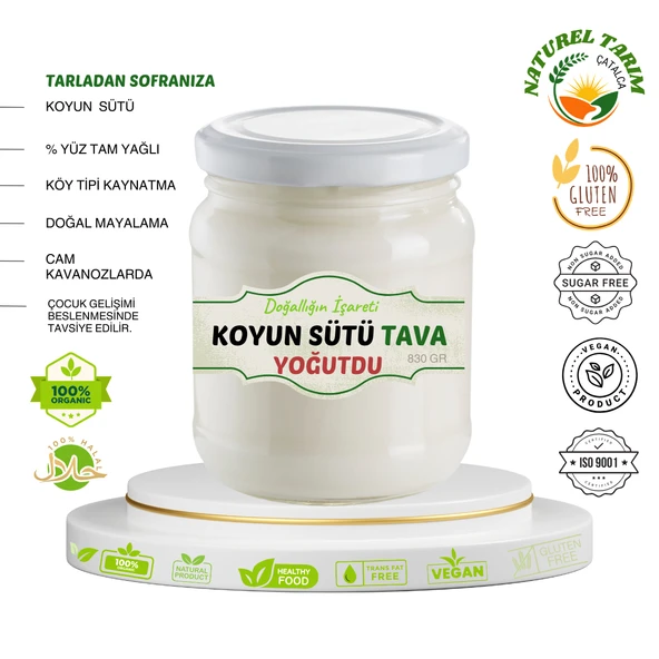 NATUREL KOYUN SÜTÜ TAVA YOĞURDU