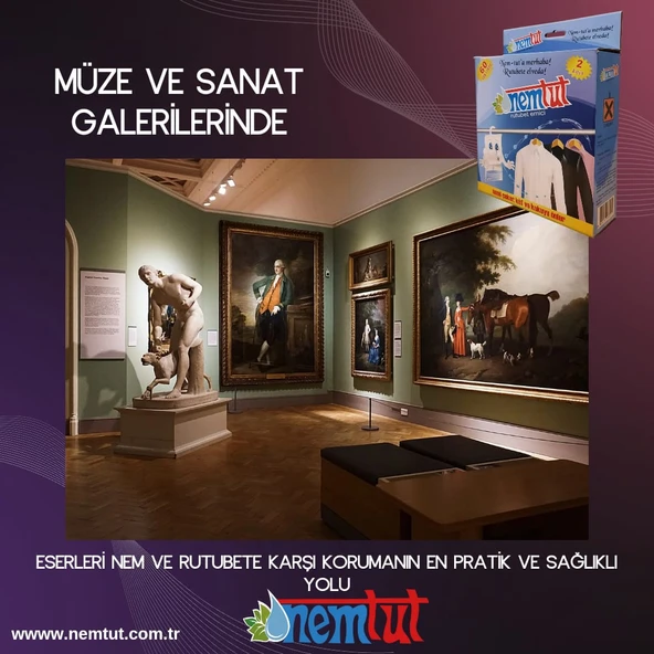 Nem Tutucu Giderici Rutubet Emici Kötü Koku Giderici Küf Ve Korozyon Önleyici 10 Kutu 20 Paket 10 Kg - Resim 2