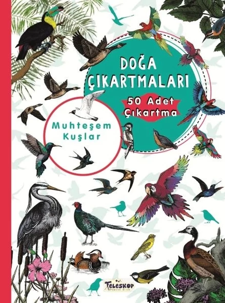 Muhteşem Kuşlar - Doğa Çıkartmaları - Resim 1