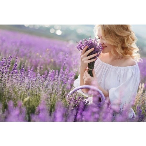 Lavanta Fidanı 2 Adet 15-25 Cm Intermedia - Resim 2