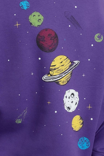Kadın Regular Bisiklet Yaka Düşük Kol Regular Kalın İçi Polarlı Baskılı Normal Kalıp Örme Sweatshirt - 4