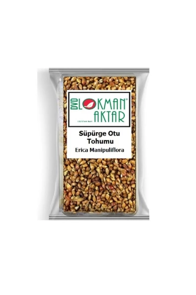 Süpürge Otu Tohumu 1 Kg, Lokman Aktar