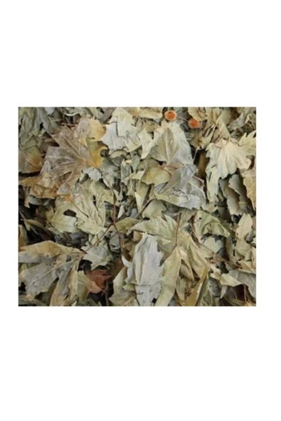 Çınar Yaprağı 50 gr, Lokman Aktar - 3