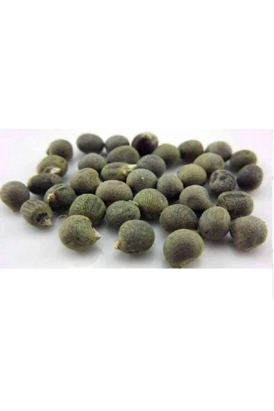 Bamya Tohumu Öğütülmüş 500 gr, Lokman Aktar - 4