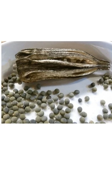 Bamya Tohumu Öğütülmüş 500 gr, Lokman Aktar - 8
