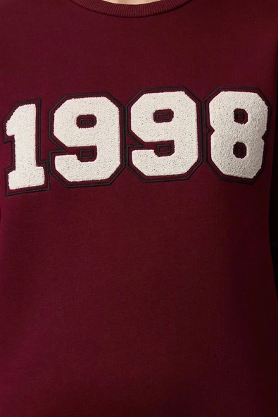 Kadın Relaxed Bisiklet Yaka Düşük Kol Uzun Kalın Polarlı Normal Kesim Slogan Nakışlı Örme Sweatshirt - 4