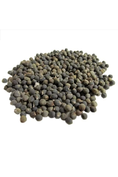 Bamya Tohumu Öğütülmüş 500 gr, Lokman Aktar - 6