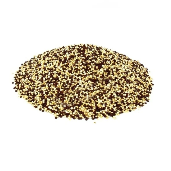 Lokman Aktar Kinoa Tohumu 50 G - 2