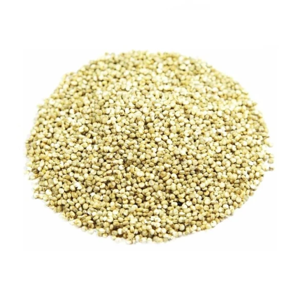 Lokman Aktar Kinoa Tohumu 50 G - 3
