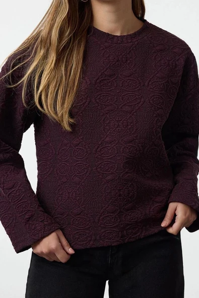 Kadın Moda Şık Regular Bisiklet Yaka Standart Kol Regular Jakarlı Normal Kalıp Örme Sweatshirt - 3
