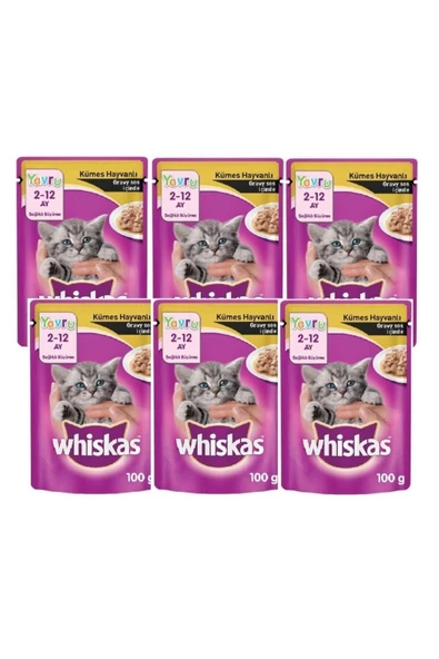 Whıskas Pouch 100gr Yavru Kumes Hayvanlı X6