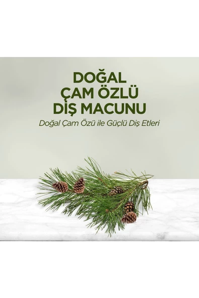 Eyüp Sabri Tuncer Doğal Çam Özlü Macunu 90ml - 5