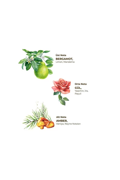 Eyüp Sabri Tuncer Amber Kolonyası Sprey Pet Şişe 150 ML - Resim 2