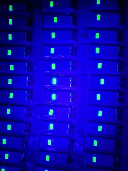 Eagenset Çapari, İstavrit Çaparisi, Uv Neon Kırmızı + Fuşya + Kırçıl Balık Sırtı Sim, 11 No Beyaz İğne, 10 İğneli Çapari 2li Paket - 4