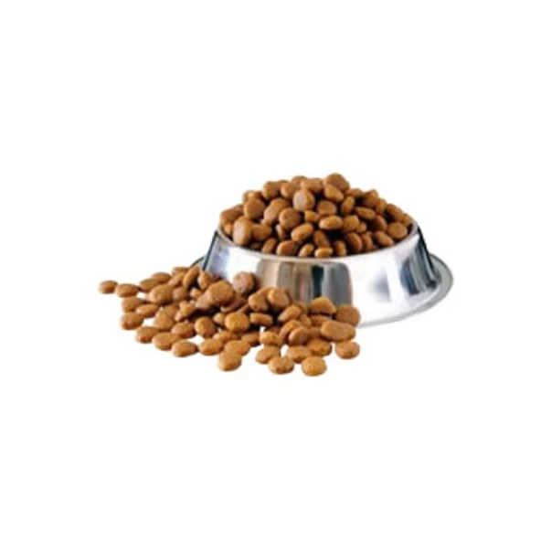 Proplan  Açık Yetişkin Köpek Somonlu 1 Kg ürün görseli 1