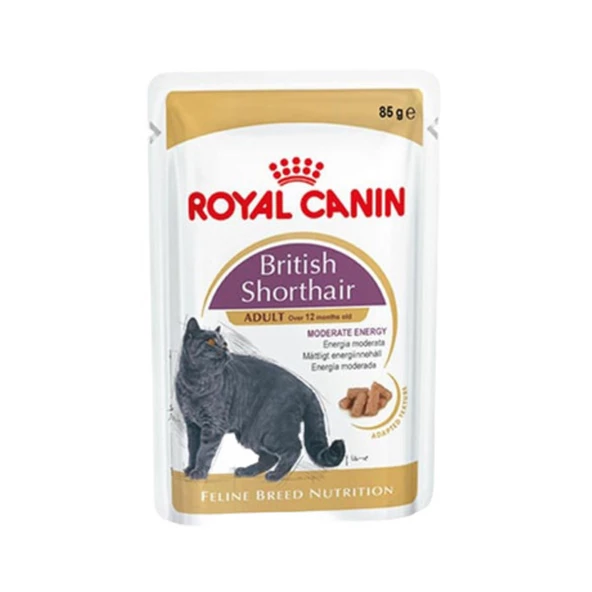 Royal Canin  British Shorthair Yetişkin Kedi Yaş Maması 85 Gr Pouch