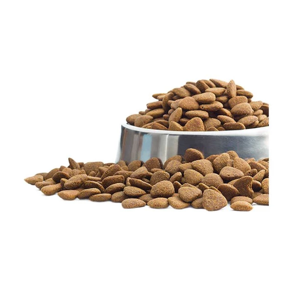 Proplan  Purina Pro Plan Somonlu Açık Yetişkin Kedi Maması 1 kg ürün görseli 1