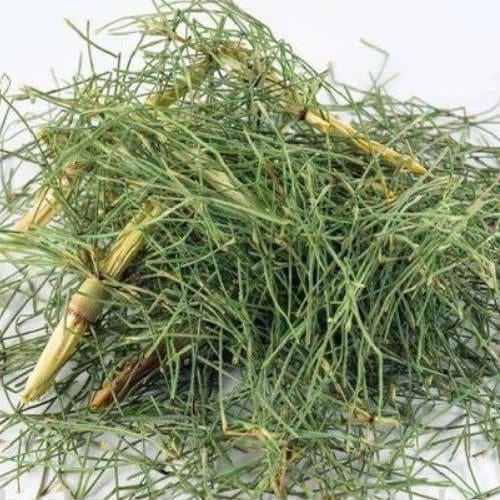 Kırkkilit Otu 500 gr At Kuyruğu ( Doğal Kurutulmuş, Katkısız )