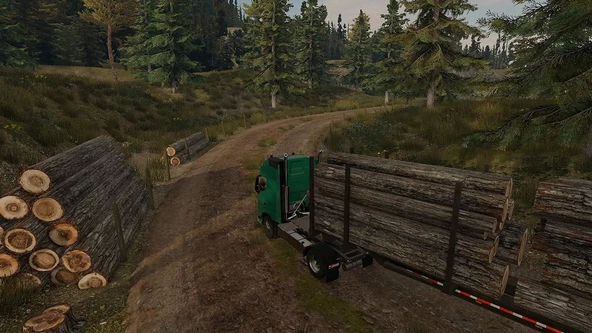 Truck Driver PS4 Oyun - 6