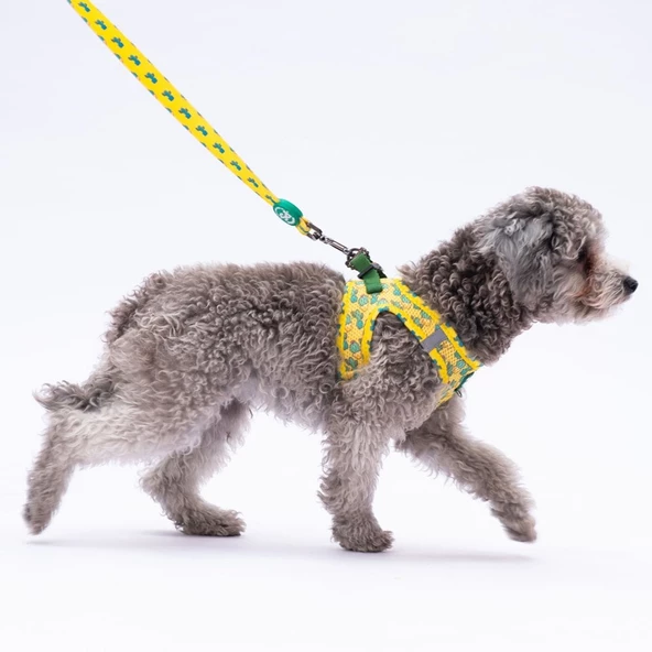 PawStar L16 Cactus Sevk Kayışı - 2