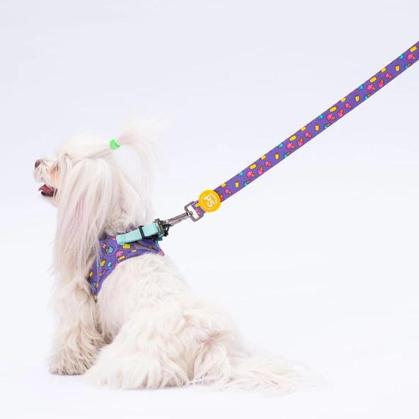 PawStar L19 Ice Cream Sevk Kayışı - 2