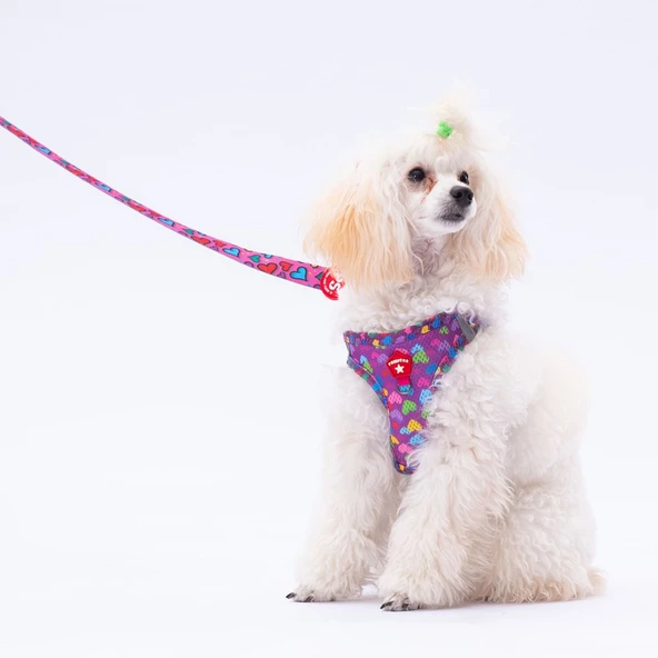 PawStar L23 Hearts Sevk Kayışı - 2