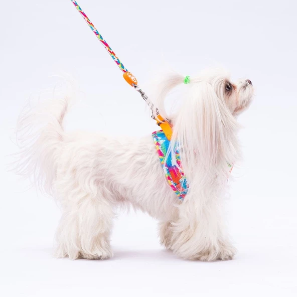 PawStar L26 Mosaic Sevk Kayışı - 2