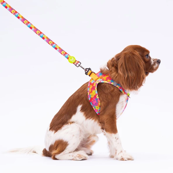 PawStar L29 Monsters Sevk Kayışı - Resim 2