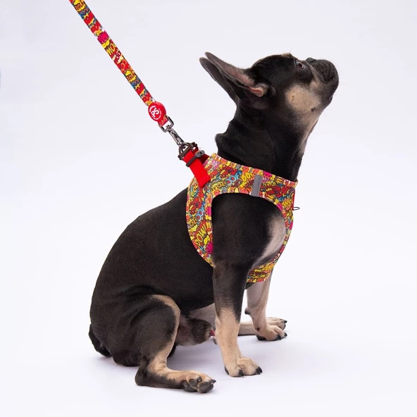 PawStar L24 Wow Sevk Kayışı - 2