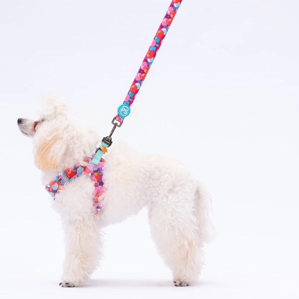 PawStar L20 Balloons Sevk Kayışı - 2