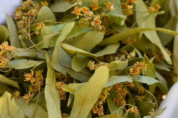 Ihlamur 200 gr ( Doğal Kurutulmuş, Elenmiş, Yeni Mahsül )